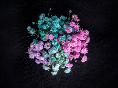 Siyah arka planda çiçeğin stüdyo çekimi. Yukarıdan Fotoğraf.