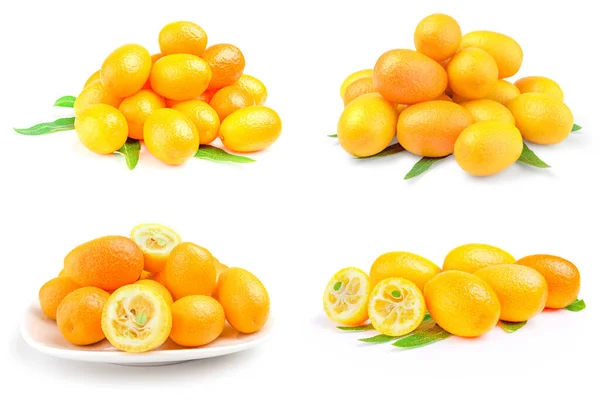 Collection de kumquats isolés sur fond blanc — Photo