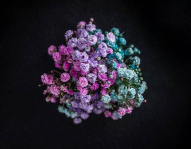 Siyah arka planda çiçeğin stüdyo çekimi. Karanlık bir arka planda.