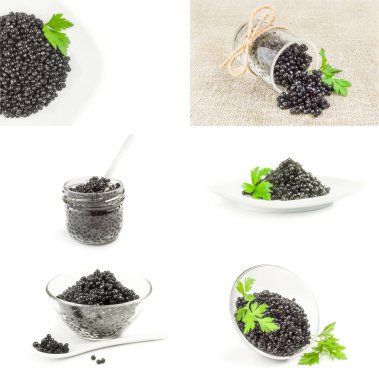 Mersin balığı yumurtası kolajı beyaz bir arkaplanda izole edilmiş.