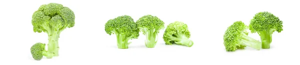 Set van verse rauwe broccoli op een witte achtergrond — Stockfoto