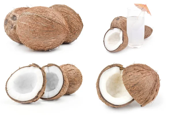 Colección de coco sobre blanco — Foto de Stock