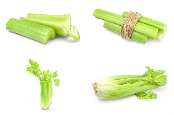 Skupina celeru izolované na bílém pozadí — Stock fotografie