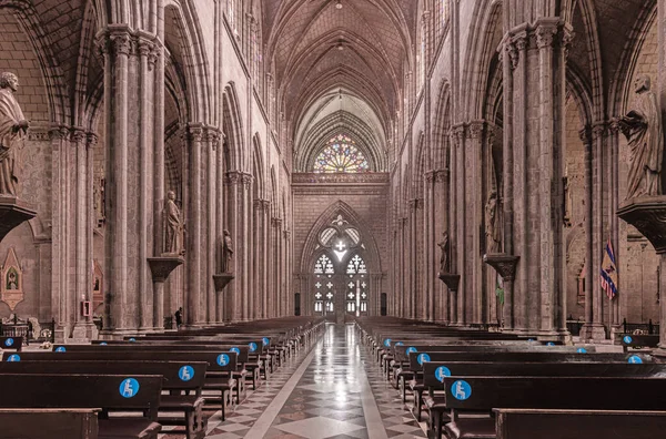 Neo-Gothic style religious building in the historic center of the city of Quito. Due to its dimensions and style, it is considered the largest neo-Gothic temple in America.