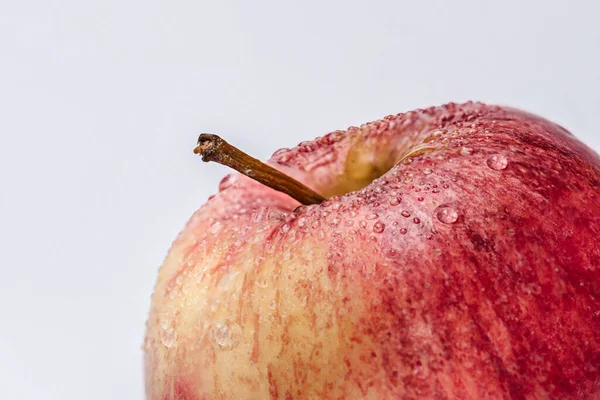 An apple has an ovoid shape, being able to have an elongated or round structure. Behind a very thin, smooth, shiny and edible skin, a juicy meat is hidden, with an abundance of water, which contains numerous seeds or nuggets in the center.