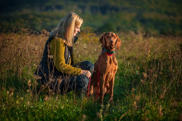 Güzel Macar Vizsla Sında Yürüyen Olgun Bir Kadın Köpek Gezdirme — Stok fotoğraf