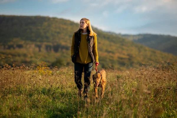 Mature Woman Walking Her Beautiful Hungarian Vizsla Dog Walking Background — Stock Photo, Image