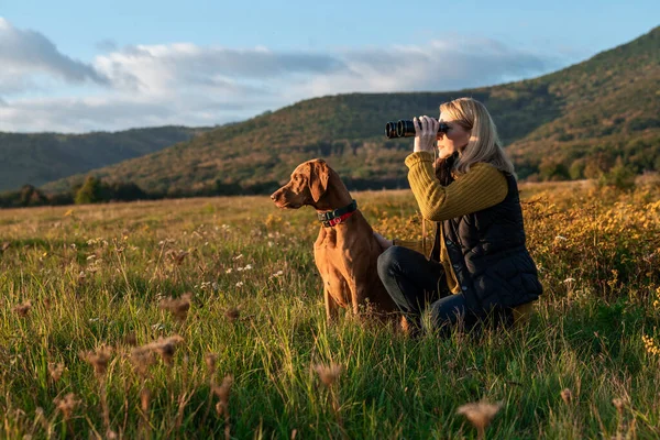 Ung Kvindelig Jæger Bruger Kikkert Til Fuglespotting Med Ungarere Vizsla - Stock-foto