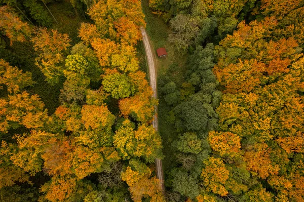 秋天的斯洛瓦基风景美丽的空中景观 Vtacnik山脉 — 图库照片