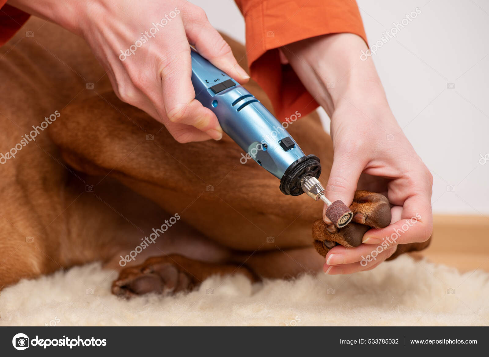 Using dremel on dog nails sale