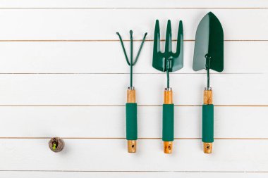 Beyaz ahşap arka planda bahçe aletleri. Düz yatıyordu. 