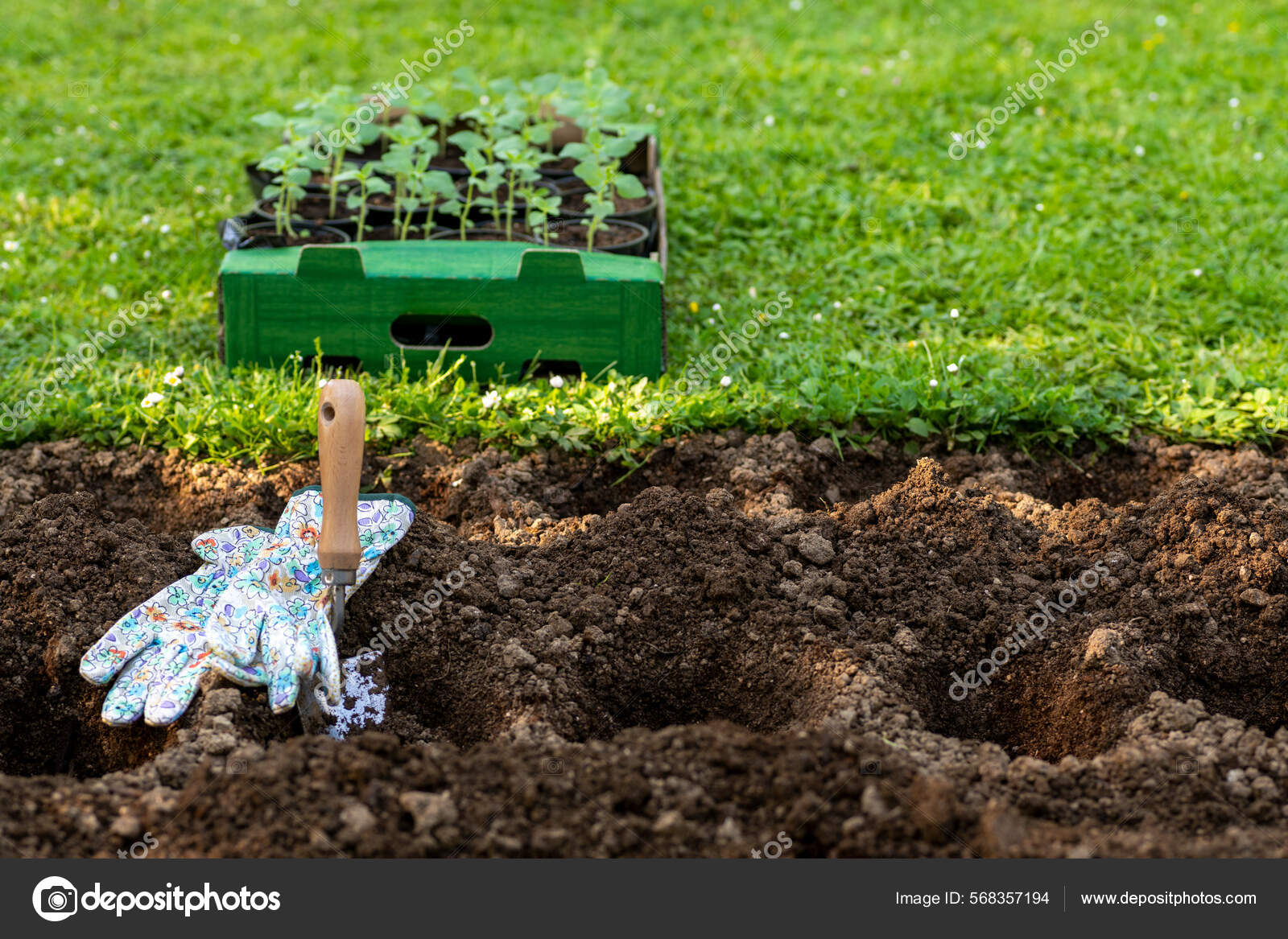 When and how to use compost in the garden or flowerbed