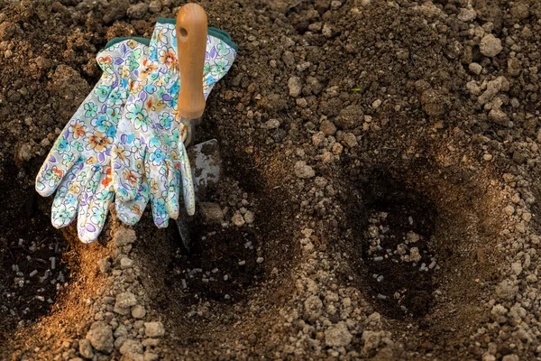 Gardening Soil Preparation Planting Garden Digging Holes Adding Chicken Manure — Φωτογραφία Αρχείου