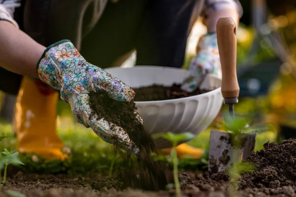 Eco Amigável Jardinagem Mulher Melhorando Solo Leito Jardim Para Plantio — Fotografia de Stock