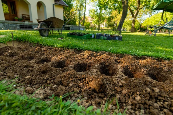 Озеленення Починається Нова Клумба Задньому Дворі Садова Робота Хобі Відпочинок — стокове фото