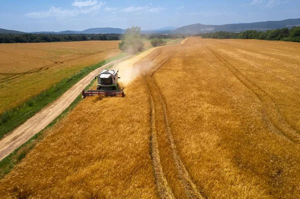 Aerial View Combine Harvester Work Harvest Time Wheat Shortage High — Stock Photo, Image