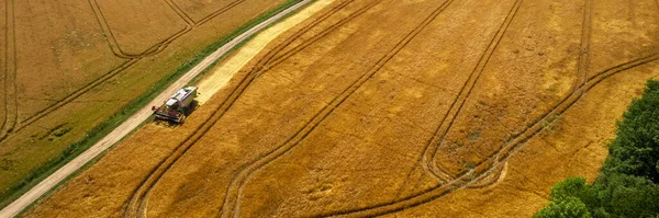 Wheat shortage, high trading prices, stockpiling. Aerial view of a combine harvester at work during harvest time. Agricultural banner.