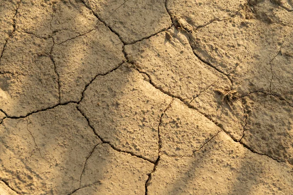 Çatlamış Toprak Dokusu Arka Planı Kuraklık Sırasında Toprağın Dokusu Üst — Stok fotoğraf