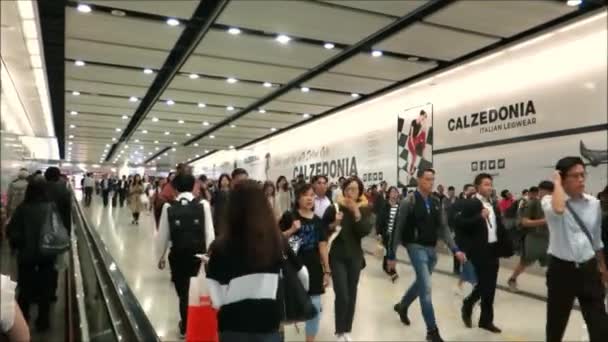Гонконг Китай Ноября 2019 Года Люди Приезжающие Работу Переполнены Подземными — стоковое видео