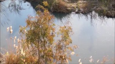 Tranquil River scene. Tranquil and calm river view in Guadalhorce valley in Andalusia