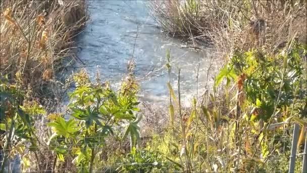Guadalhorce River Spring Sunshine Clean River Water Flowing Andalusian Valley — Video