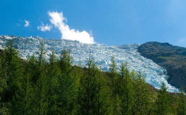 Bossons glacier and forest on a sunny day during summer