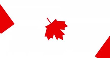 Background waving, fabric flag of Canada, 4K animation.