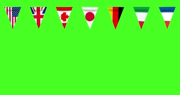 Waving Official Flags Countries Animation Green Screen — Wideo stockowe