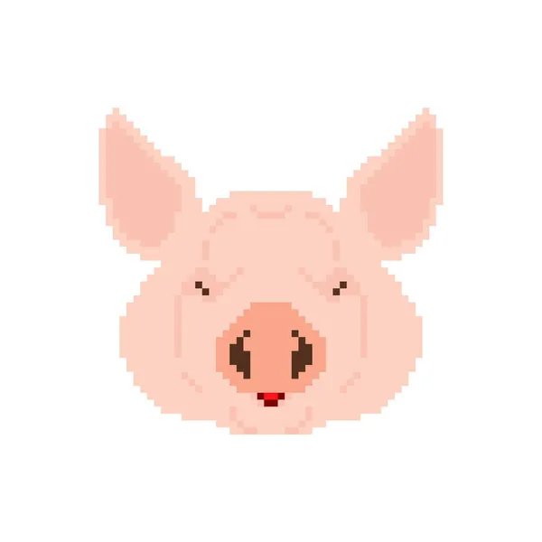 Cabeza Cerdo Pixel Art Piggy Pixelado Ilustración Bits — Vector de stock