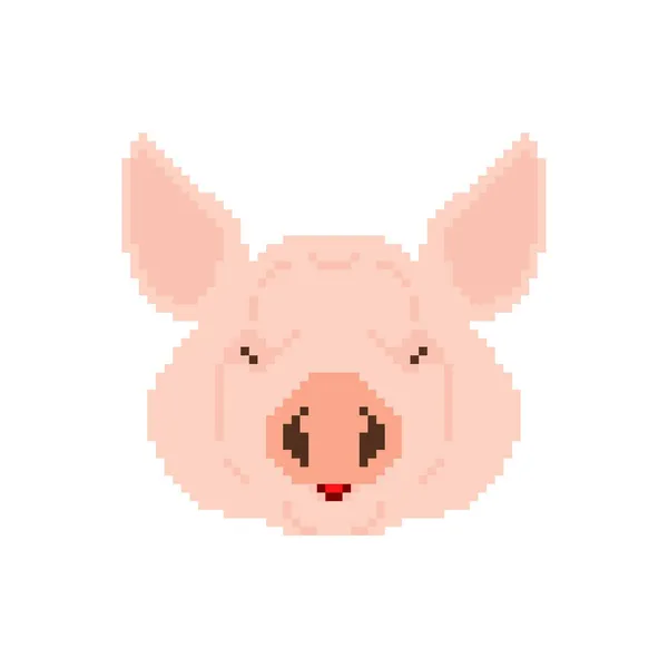 Pixelkunst Mit Schweinekopf Verpixeltes Schweinchen 8Bit Abbildung — Stockvektor