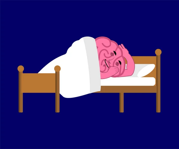 脳が眠ってる 脳は休んでる 脳はベッドで寝てる ベクターイラスト — ストックベクタ