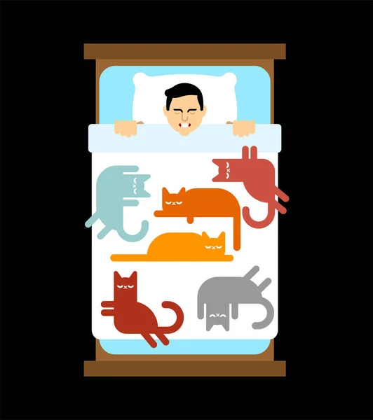 Kediler Yatağa Erkekler Kediler Yatakta — Stok Vektör