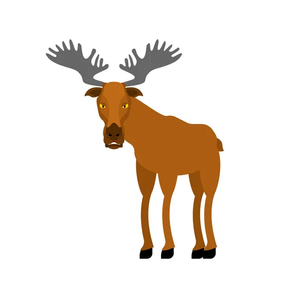 Elk Cartoon Isolado Animal Selvagem Floresta Ilustração Vetor Veado —  Vetores de Stock