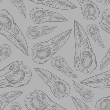 Kuzgun Kafatası deseni kusursuz. Kuzgun başlı iskelet geçmişi. Vektör dokusu