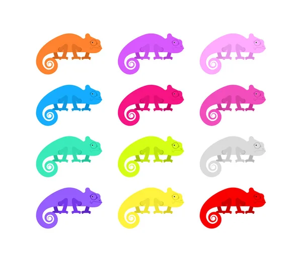 Chameleon Multicolored Set Cartoon Reptile Icon Vector Illustration — Stock Vector