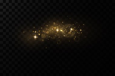 Peri tozunun parıldayan parçacıkları. Toz parçacığı ışıl ışıl parlıyor. Arkaplan. Işıldayan parçacıklar izole edilmiş parlayan ışık efekti.