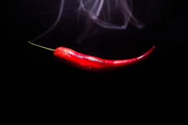 Ein roter Chili scharfe Pflanze