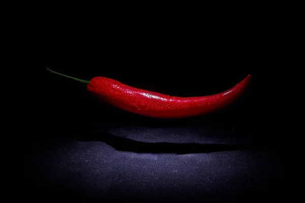 Ein Roter Chili Scharfe Pflanze Royalty Free Stock Fotografie