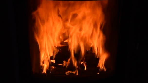 Feuer Einen Ofen Zum Heizen — Stockvideo