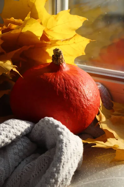 Pencere kenarında balkabağı ve süveter