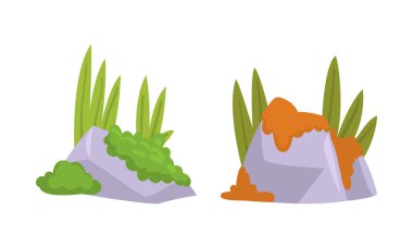 Yosun Vektörü Kümesi ile kaplı Kaya ya da Kaya