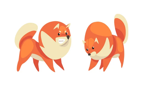 Speelse Shiba Inu of Akita Puppy als Japanse Ras Hond met Prick Ears Vector Set — Stockvector