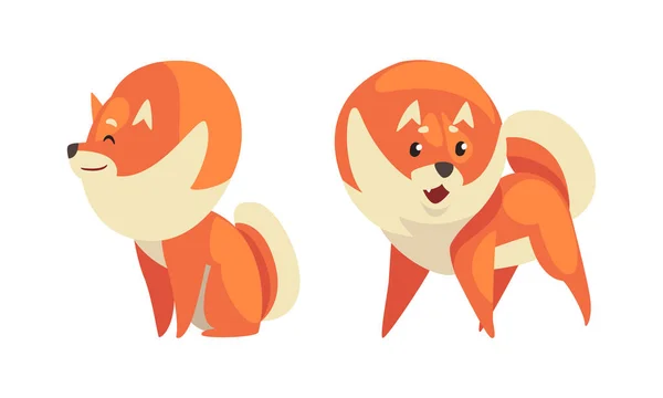 Speelse Shiba Inu of Akita Puppy als Japanse Ras Hond met Prick Ears Vector Set — Stockvector