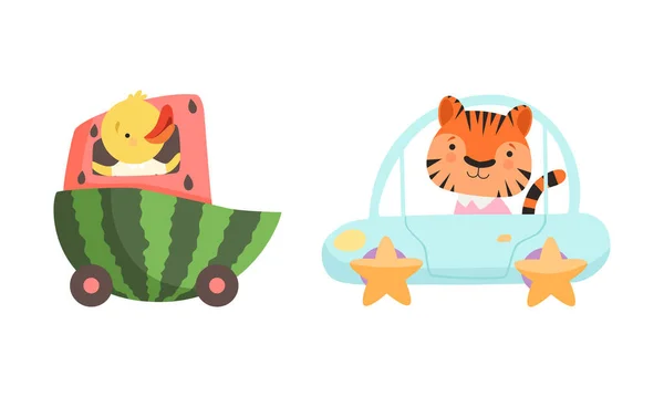 带西瓜和老虎的可爱鸭在汽车传送器上 — 图库矢量图片