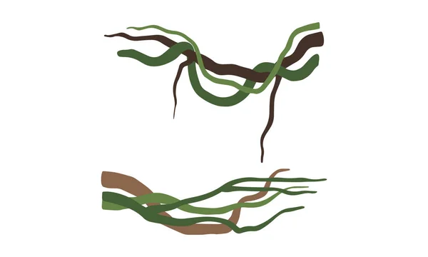 クライミングとタングルリアナ長い茎ウッディつるベクトルセット — ストックベクタ