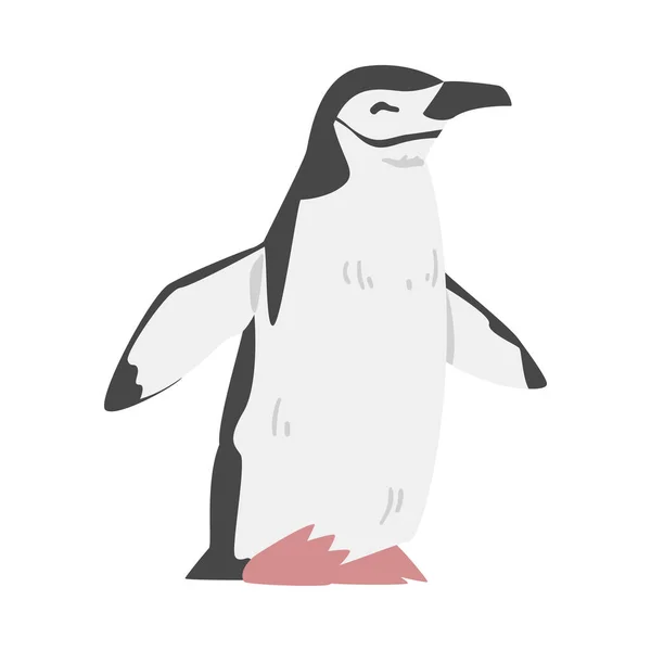 Chinstrap Penguin als Aquatic Flightless Bird met Flippers voor zwemmen in Standing Pose Vector Illustratie — Stockvector