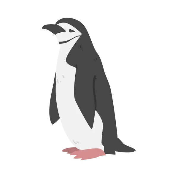 Chinstrap Penguin als Aquatic Flightless Bird met Flippers voor zwemmen in Standing Pose Vector Illustratie — Stockvector