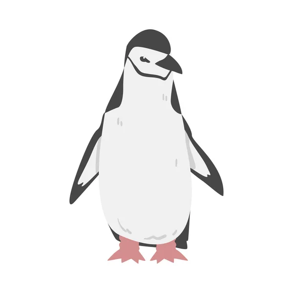 Chinstrap Penguin als Aquatic Flightless Bird met Flippers voor zwemmen in Standing Pose Vector Illustratie — Stockvector