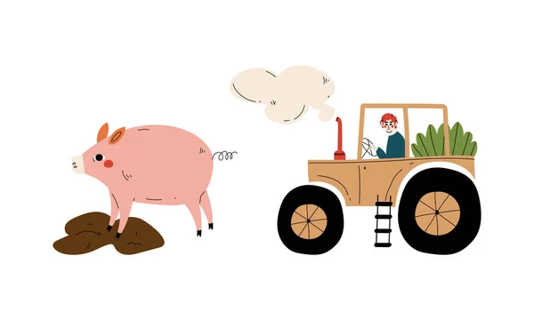 Hombre agricultor conducción tractor y cerdo en el juego de vectores de barro — Archivo Imágenes Vectoriales