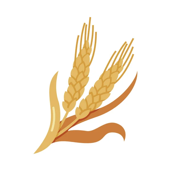 Getreideernte-Vektorillustration Gerste oder Weizen — Stockvektor